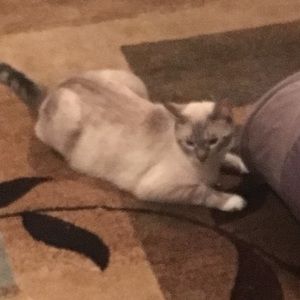 Meet your Posher, Michael